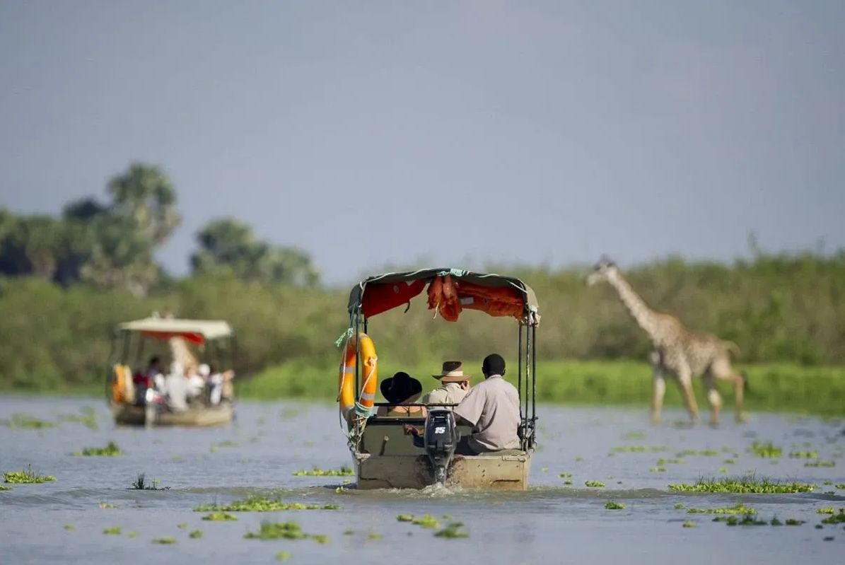 Lodges in Ruaha and Nyerere for wildlife viewing